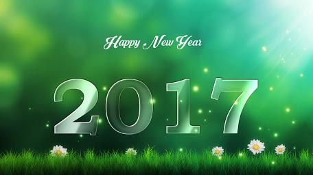 Happy New Year 2017