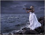 0c1c37f395e7.gif image by jade95_2010