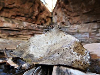 2012 - February 27th - Rough Canyon & Clarks Hollow, Bangs Canyon Special Recreation Management Area