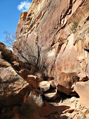 2012 - February 27th - Rough Canyon & Clarks Hollow, Bangs Canyon Special Recreation Management Area