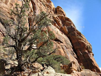 2012 - February 27th - Rough Canyon & Clarks Hollow, Bangs Canyon Special Recreation Management Area