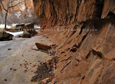 2012 - February 27th - Rough Canyon & Clarks Hollow, Bangs Canyon Special Recreation Management Area