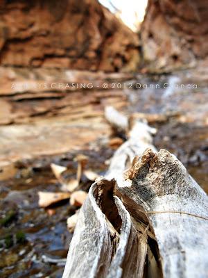 2012 - February 27th - Rough Canyon & Clarks Hollow, Bangs Canyon Special Recreation Management Area