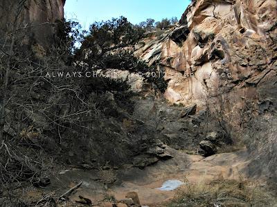 2012 - February 27th - Rough Canyon & Clarks Hollow, Bangs Canyon Special Recreation Management Area