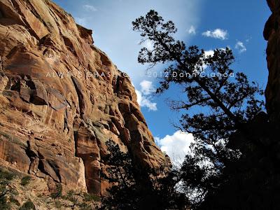 2012 - February 27th - Rough Canyon & Clarks Hollow, Bangs Canyon Special Recreation Management Area