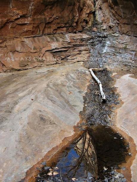 2012 - February 27th - Rough Canyon & Clarks Hollow, Bangs Canyon Special Recreation Management Area