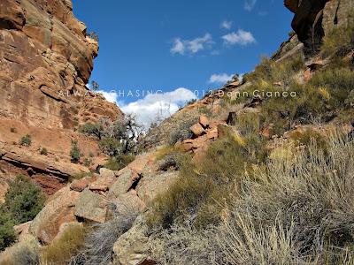 2012 - February 27th - Rough Canyon & Clarks Hollow, Bangs Canyon Special Recreation Management Area