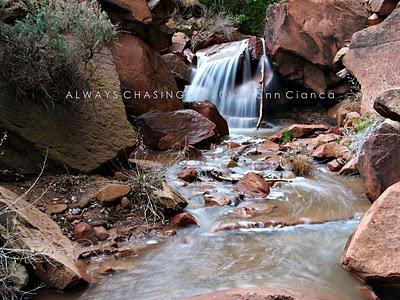 2012 - February 27th - Rough Canyon & Clarks Hollow, Bangs Canyon Special Recreation Management Area