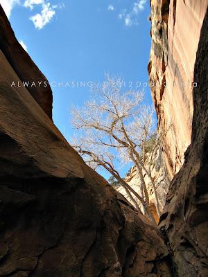 2012 - February 27th - Rough Canyon & Clarks Hollow, Bangs Canyon Special Recreation Management Area