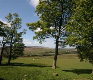 Self Catering Holidays – Northumbrian Cottages