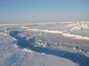 North Pole 2012: Irish Team Headed Home