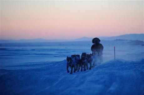 Iditarod 2012: Frontrunners Begin Stretch Run for Nome