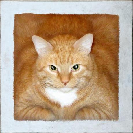 Red Square (or Cat's Suprematism), according to FatCatArt.ru
