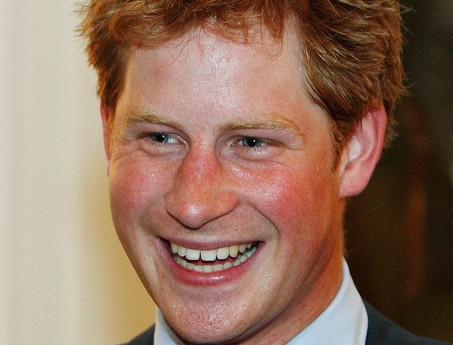 Prince Harry trip: Are Brits a nation of sycophants when it comes to the Royal Family?
