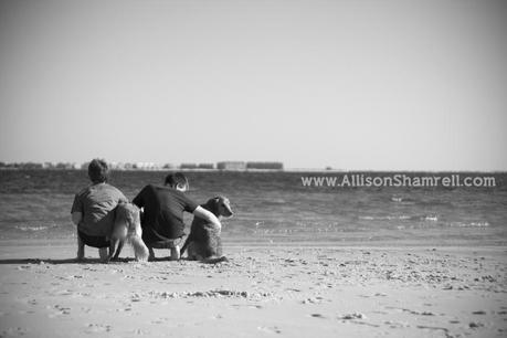 Two golden retrievers and their owners, boys, at the beach in black and white.