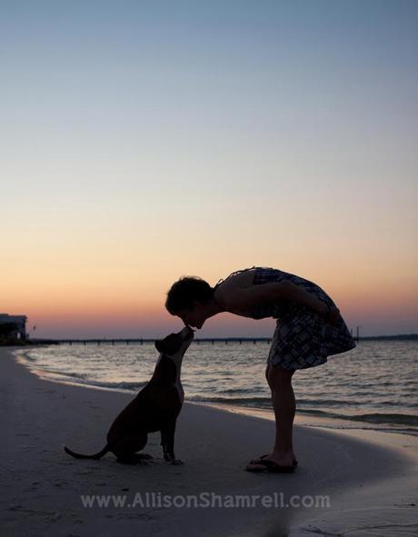A woman leans down to kiss a pit bull dog, on the beach at sunset.