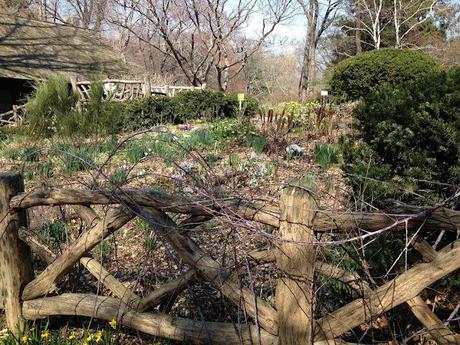 Tuesday in the Park with Frances