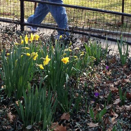 Tuesday in the Park with Frances