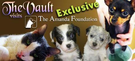 The Vault Visits The Amanda Foundation