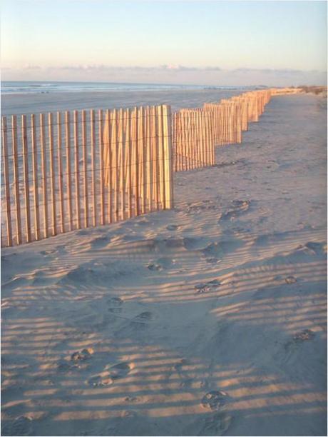 Glowing zig-zag beach fence at sunrise