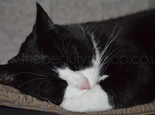 Wordless Wednesday Chloe!