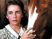 National Velvet