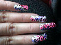 Colored Leopard Mani