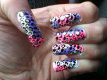 Colored Leopard Mani