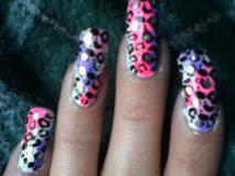 Colored Leopard Mani