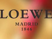 Loewe Collection!