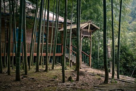 Ch_nanchang_bamboo_forest_img_5285