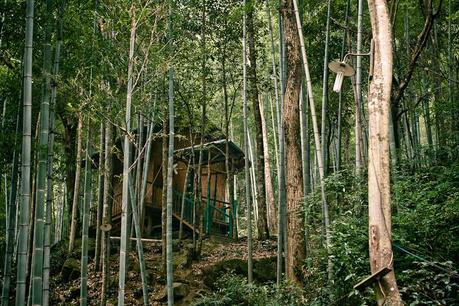 Ch_nanchang_bamboo_forest_img_5238