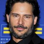 The Human Rights Campaign (HRC) Los Angeles Gala - Arrivals