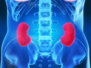 “Bath Salts” and Ecstasy Implicated in Kidney Injuries