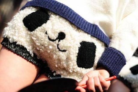 Panda Shorts: Do You Dare to Go Bear?