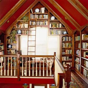 Daily Dose: Home Libraries