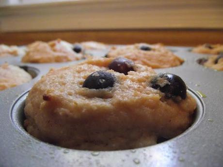 Greek Lemon Blueberry Muffins