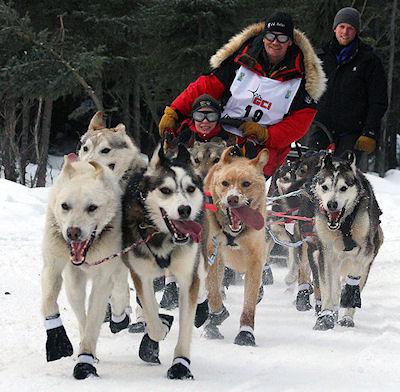 Iditarod Trail Sled Dog Race 2012