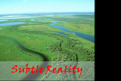 Subtle Reality