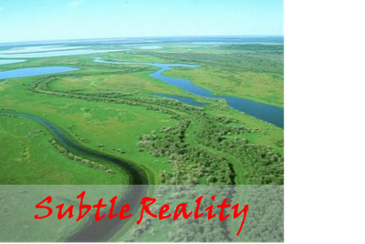 Subtle Reality
