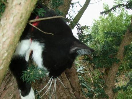 A Rather Satisfying Weekend