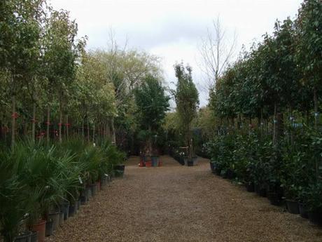 A Rather Satisfying Weekend