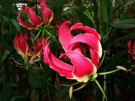 A Rather Satisfying Weekend