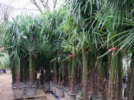 A Rather Satisfying Weekend