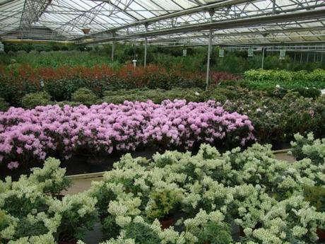 A Rather Satisfying Weekend