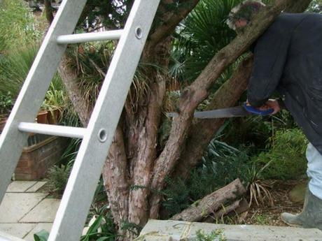 A Rather Satisfying Weekend