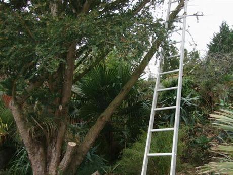 A Rather Satisfying Weekend