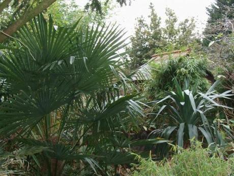 A Rather Satisfying Weekend