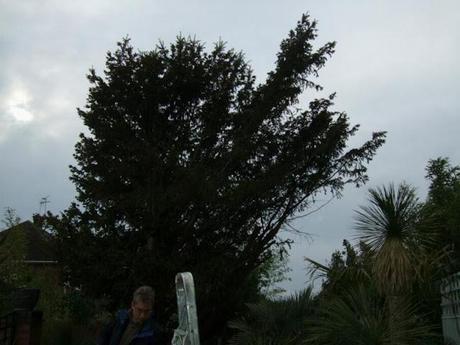 A Rather Satisfying Weekend