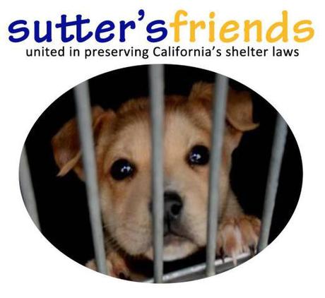 Sutter's Friends, ironically named for Governor Brown's dog, Sutter
